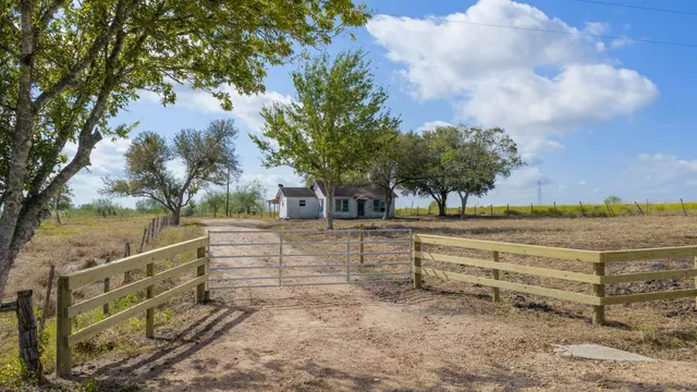 a view of a yard with an trees