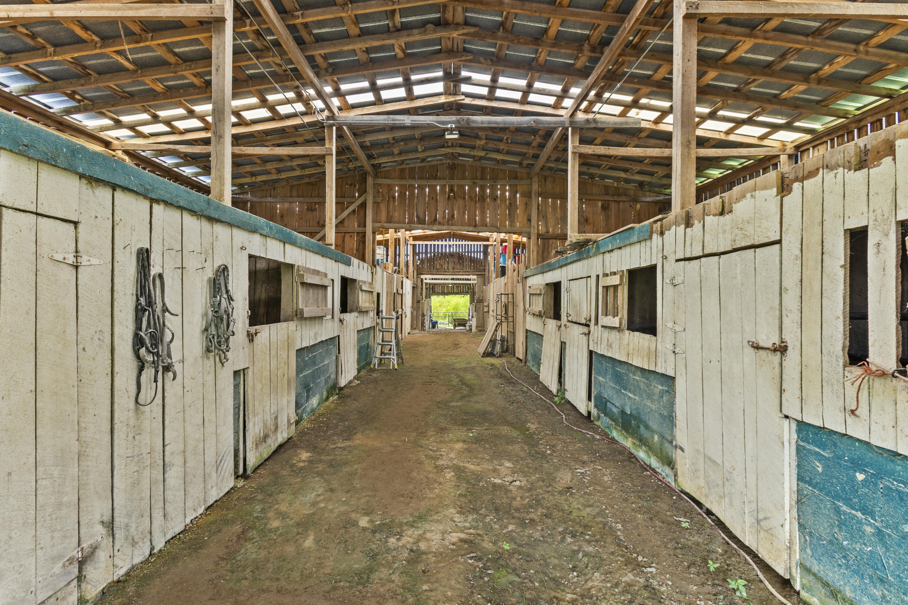 5119 Shoemaker Ridge Zoe, KY 41397 - Photo 41 of 46 I82A4113