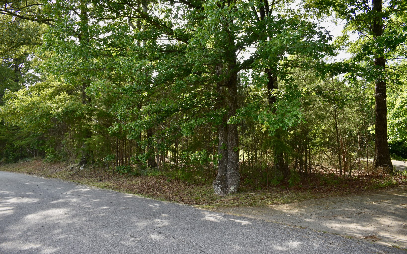 1621 Weeks Road Ellijay, GA 30540 - Photo 3 of 4 Additional View