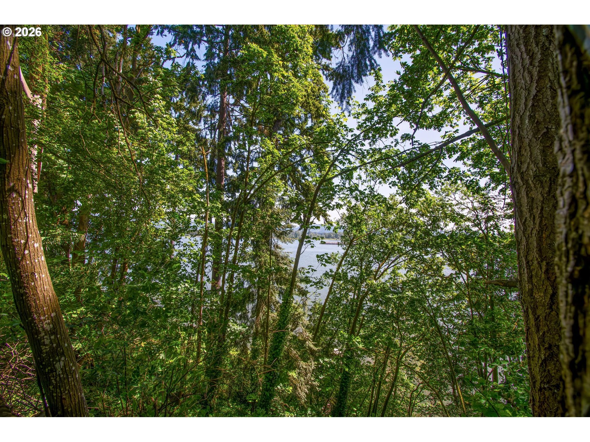 River Cliffs Drive St. Helens, OR 97051 - Photo 13 of 20