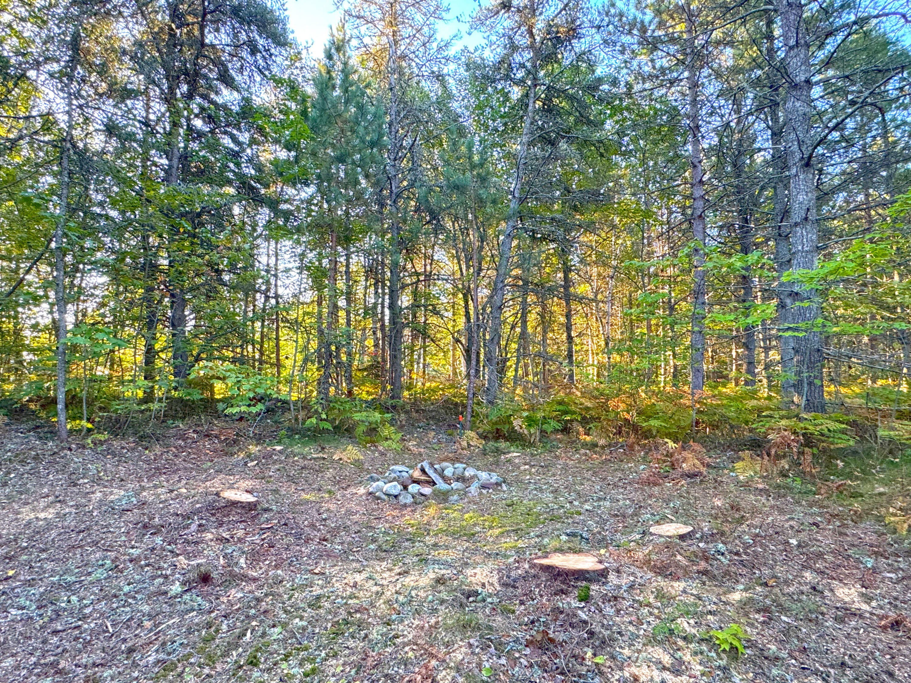 15614 North Whitefish Point Road Paradise, MI 49768 - Photo 68 of 107 Gallery Image 68