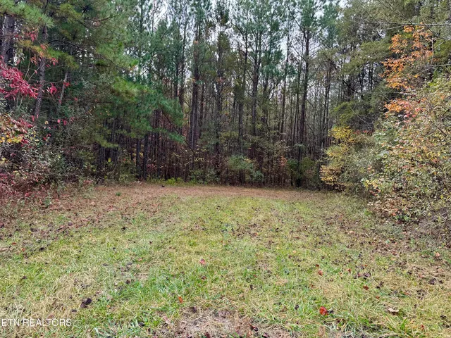 $45,900 | Airport Road, Oakdale, TN 37829
