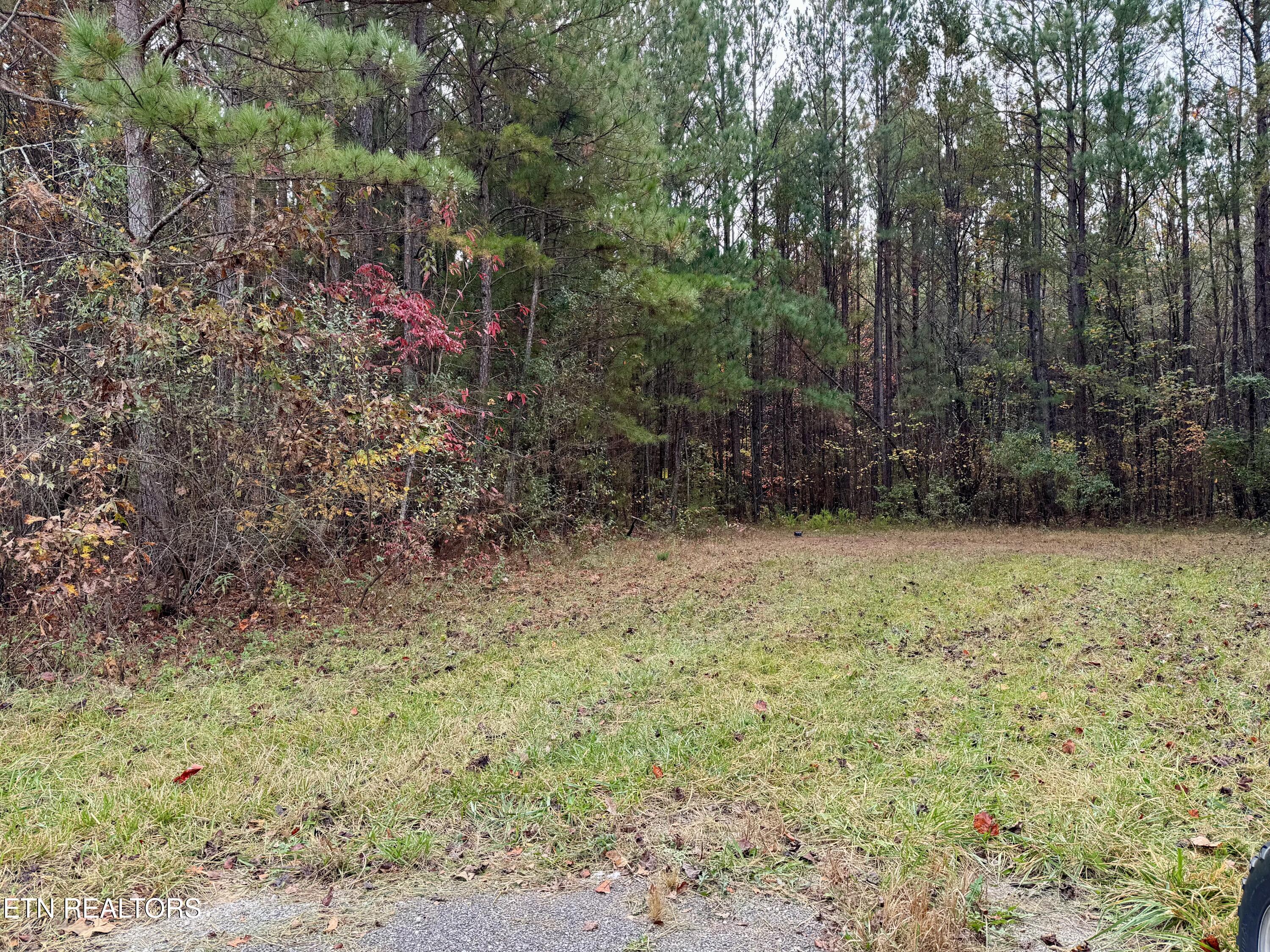 Airport Road Oakdale, TN 37829 - Photo 3 of 11 IMG_5271