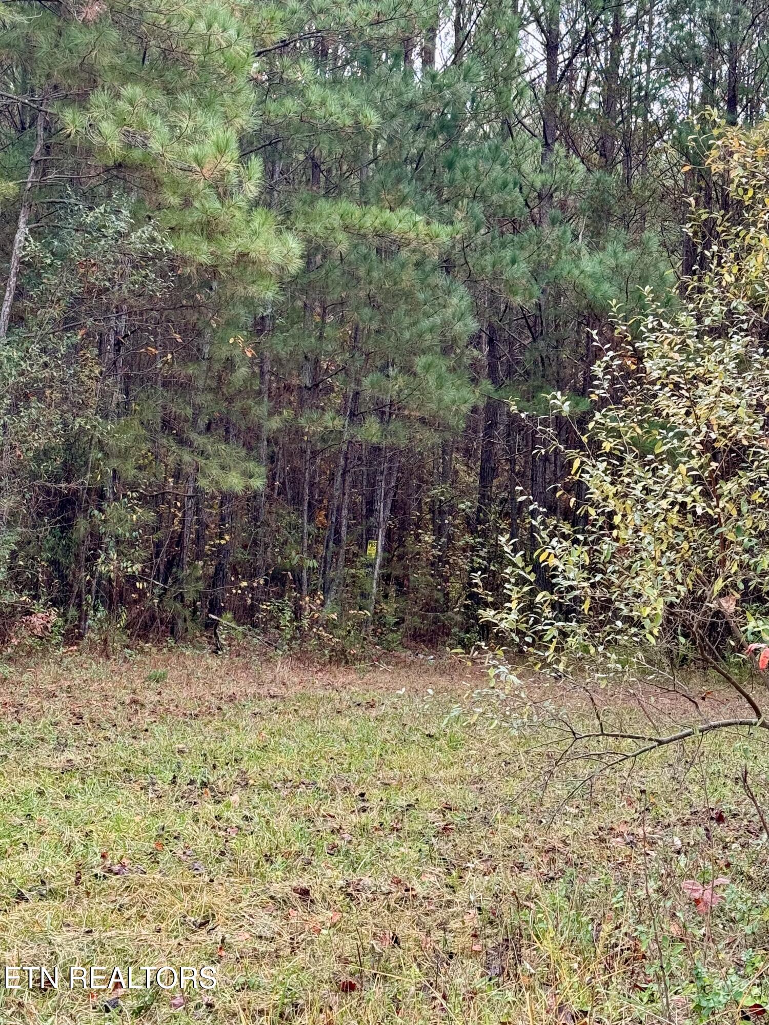 Airport Road Oakdale, TN 37829 - Photo 4 of 11 IMG_5273