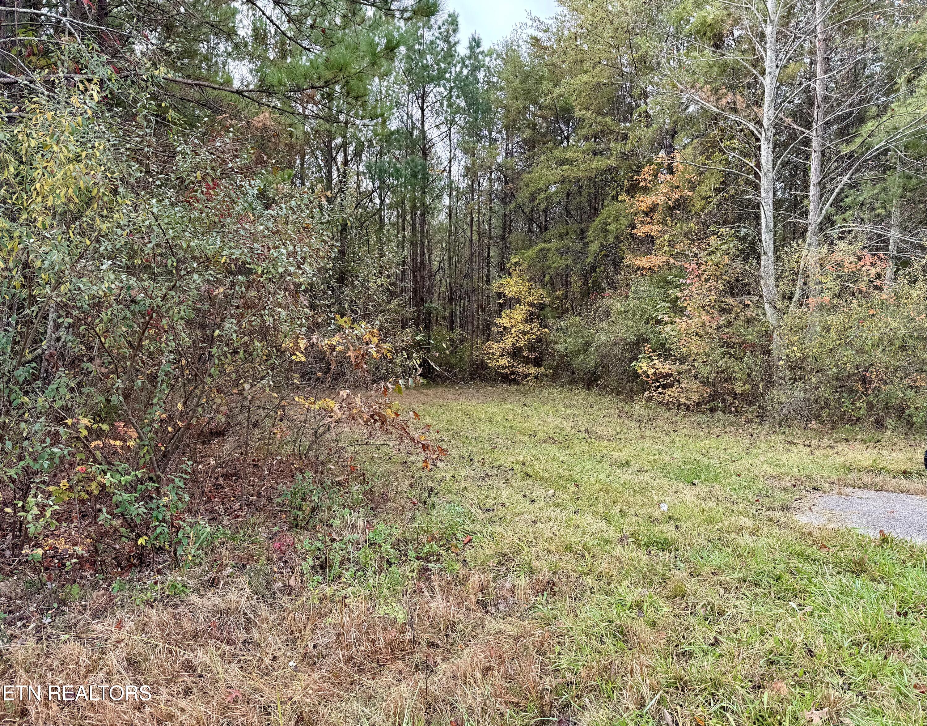 Airport Road Oakdale, TN 37829 - Photo 5 of 11 IMG_5269