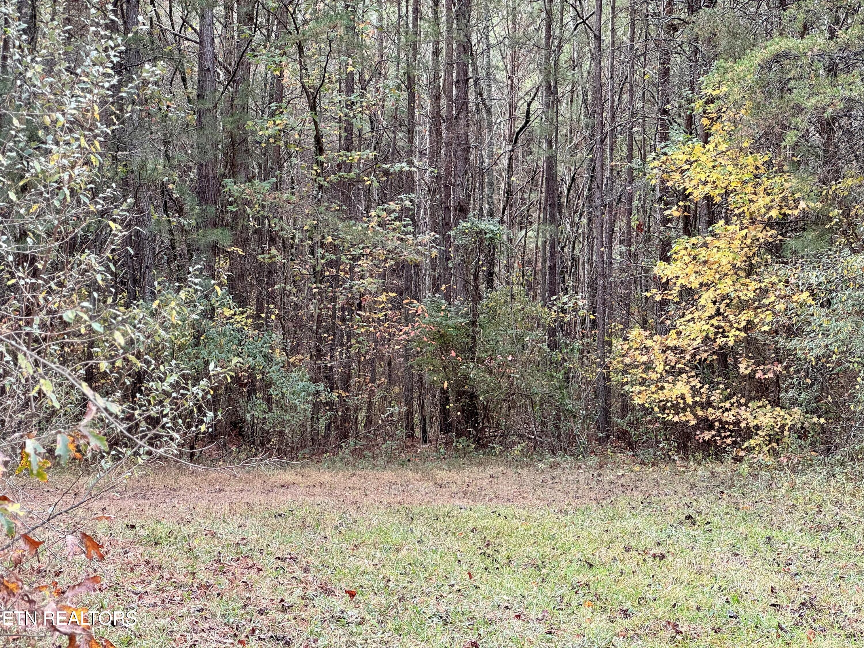 Airport Road Oakdale, TN 37829 - Photo 6 of 11 IMG_5270