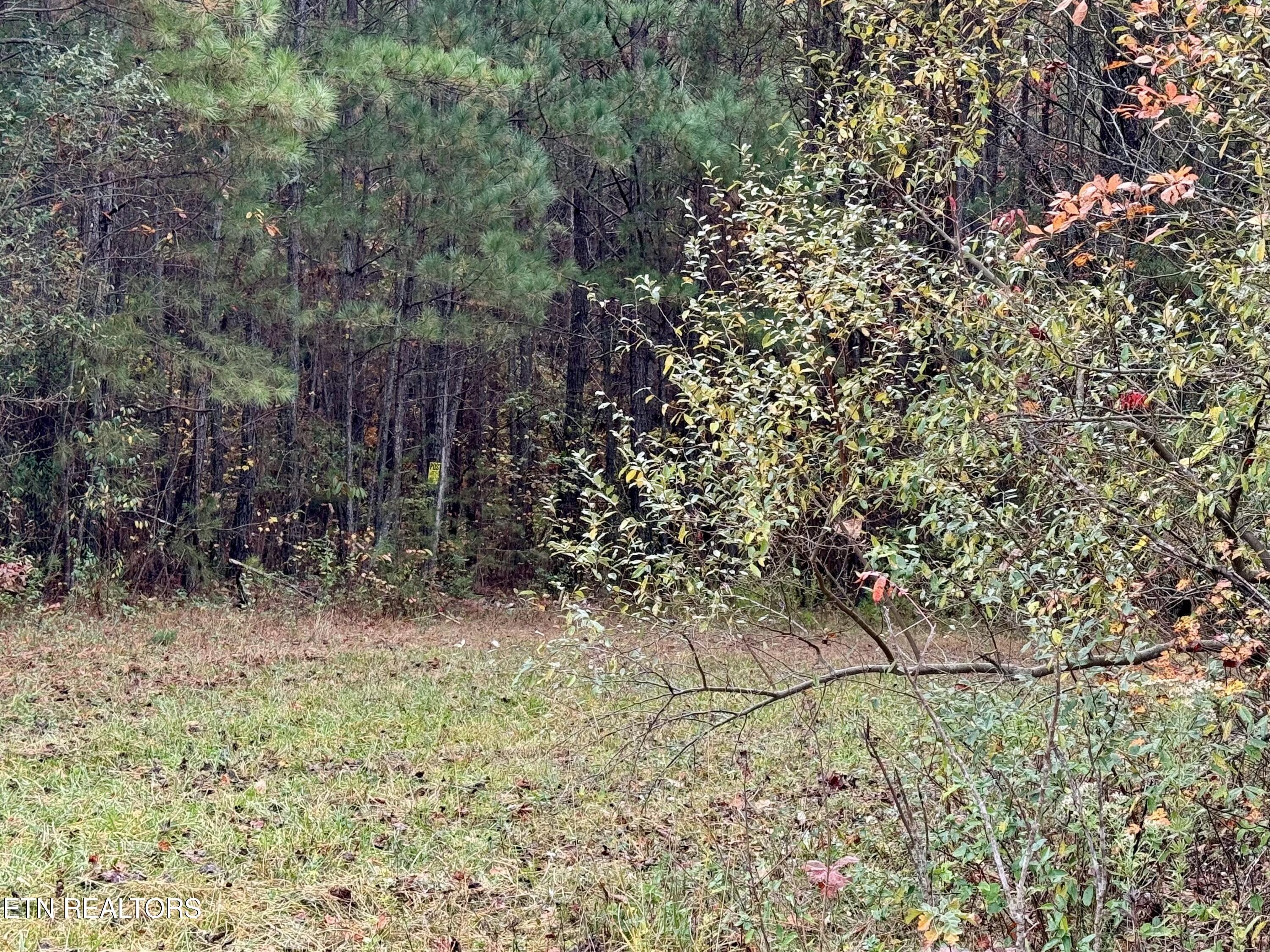 Airport Road Oakdale, TN 37829 - Photo 7 of 11 IMG_5274