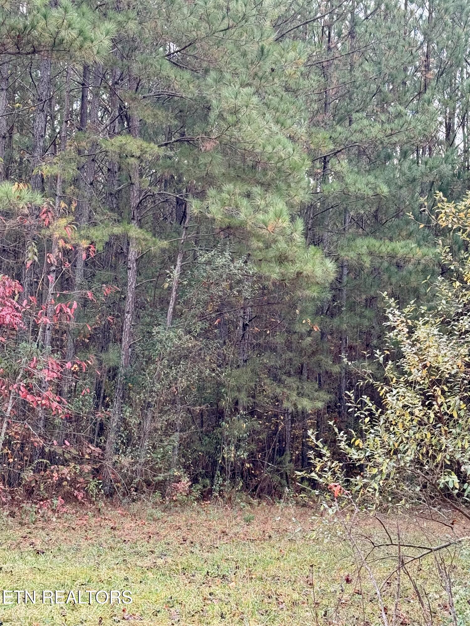 Airport Road Oakdale, TN 37829 - Photo 10 of 11 IMG_5275