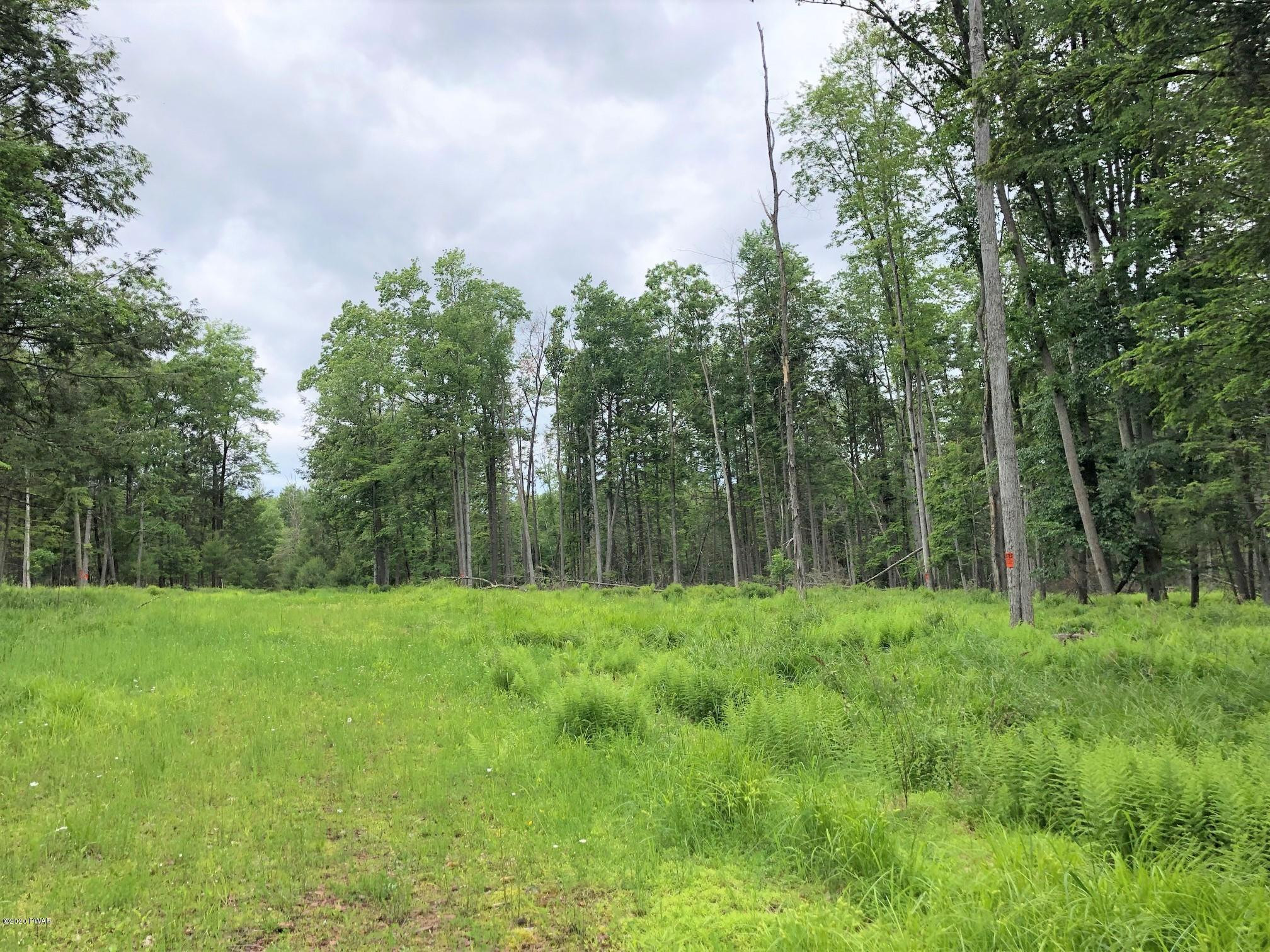 Brook Road Milanville, PA 18443 - Photo 1 of 17