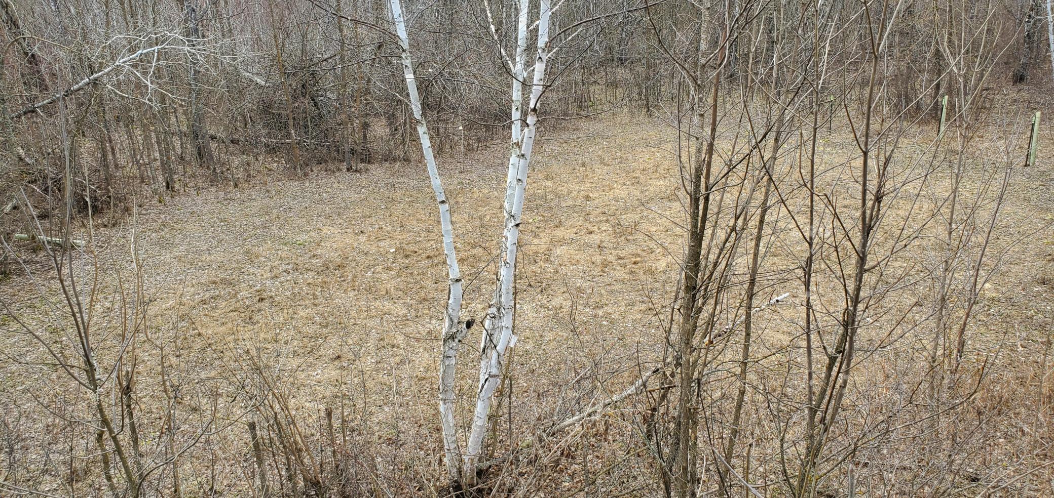 38953 Ada Beach Road Ponsford, MN 56575 - Photo 74 of 94