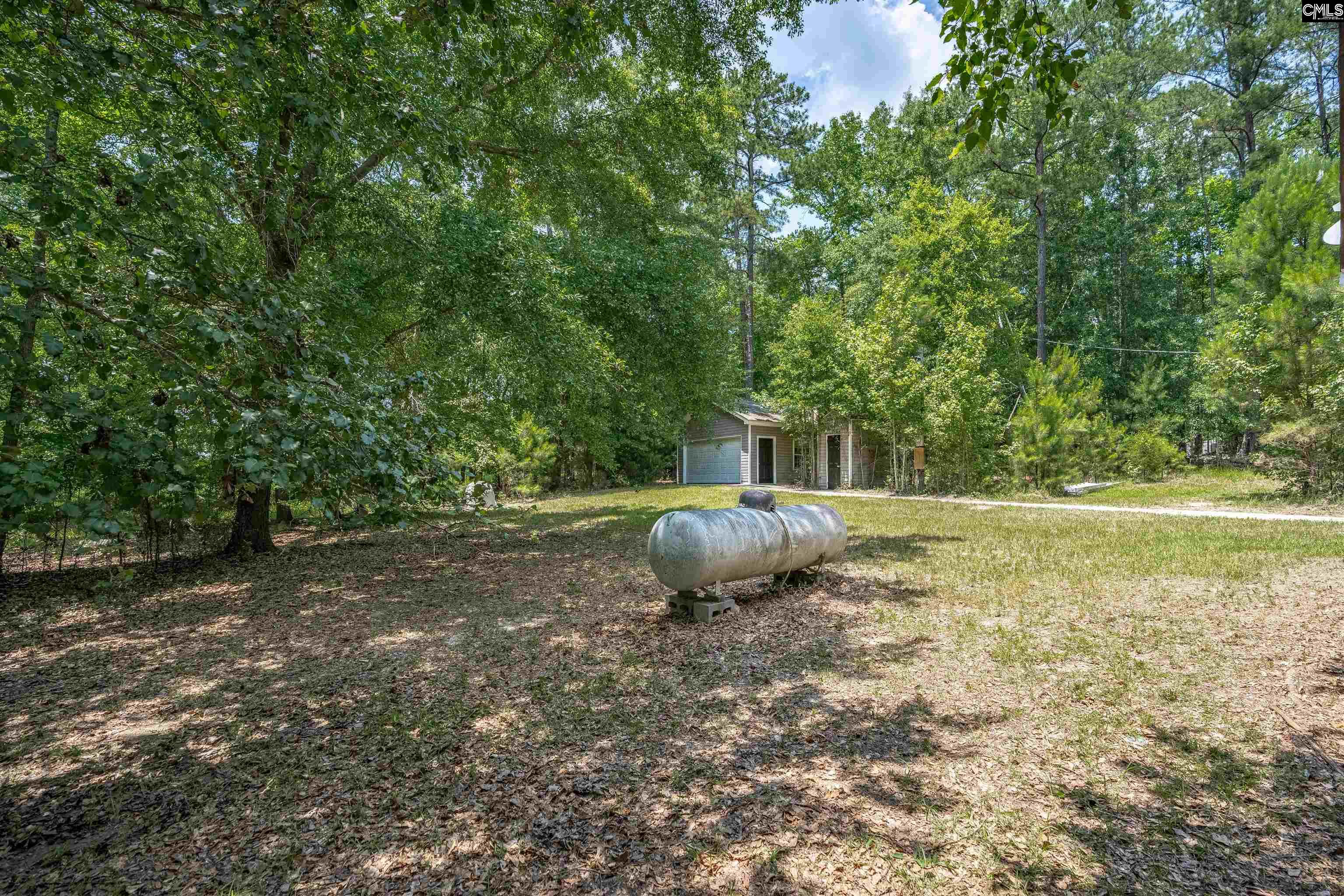 131 Mule Trail Gilbert, SC 29054 - Photo 41 of 65