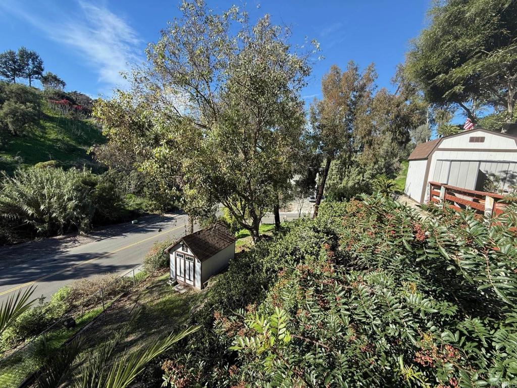 2277 Dunstan Street Oceanside, CA 92054 - Photo 24 of 36 a view of a yard with plants and a large tree