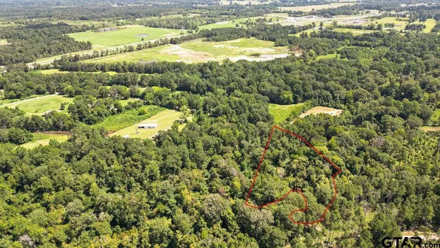 a view of backyard with green space