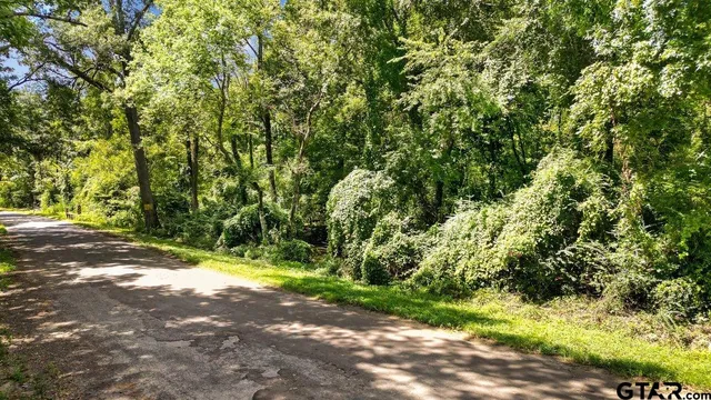 a view of a yard with plants