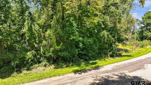 a view of a yard with a tree