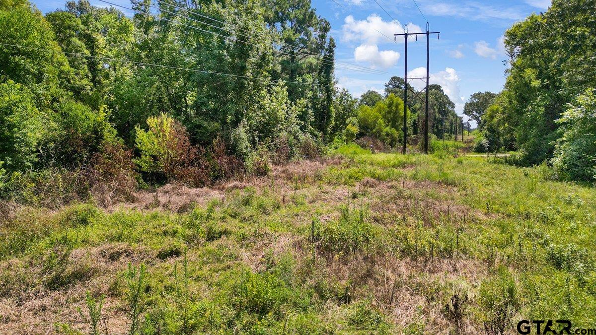 201 Carthage Tx 75633 Carthage, TX 75633 - Photo 7 of 10