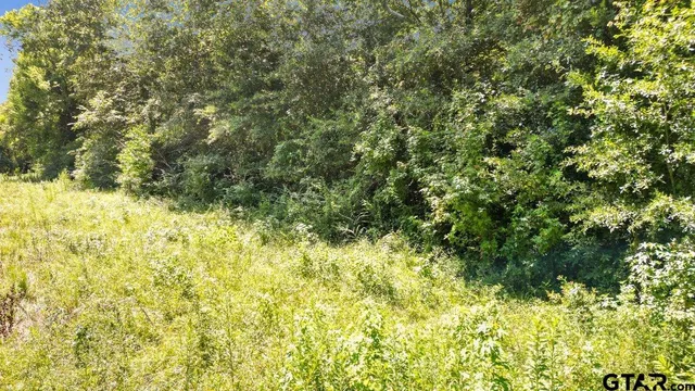 a view of a yard with plants and wooden fence