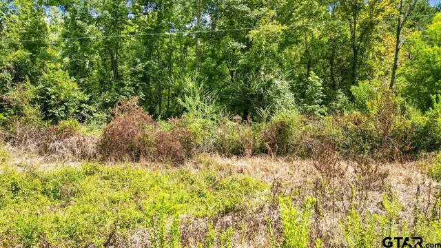 a view of a lush green field