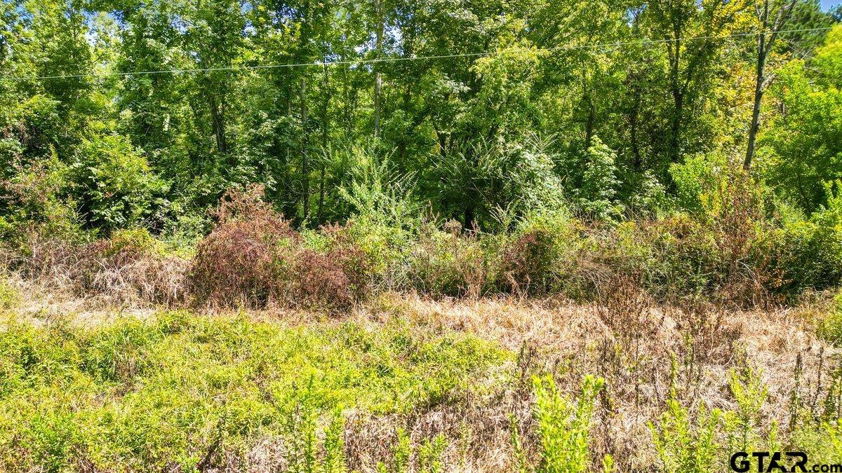 201 Carthage Tx 75633 Carthage, TX 75633 - Photo 9 of 10