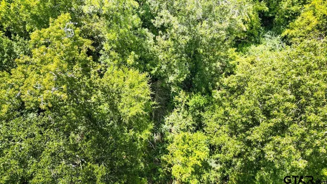 $27,900 | 201 Carthage Tx 75633, Carthage, TX 75633