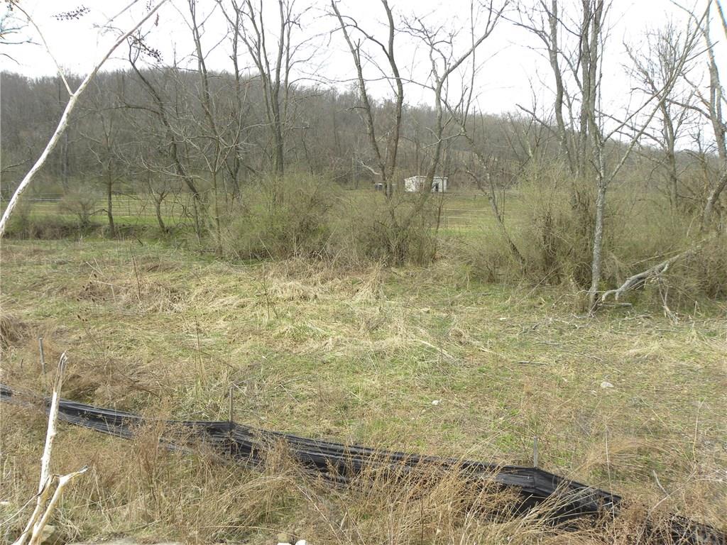 231 McCarrell Road Hickory, PA 15340 - Photo 19 of 25 Imagine you're nearly flat yard with freshly cut bright green grass.