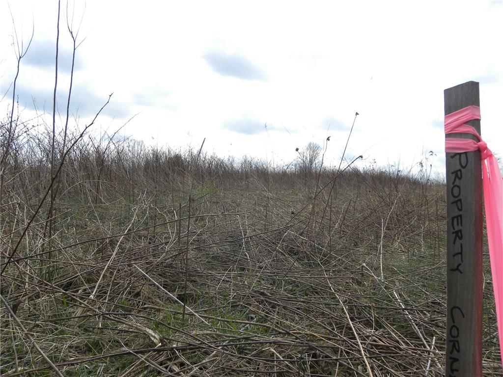 231 McCarrell Road Hickory, PA 15340 - Photo 25 of 25 You're future starts right here. Put a claim on this land for yourself!