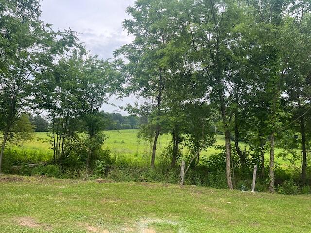 209 John Long Road Spring City, TN 37381 - Photo 2 of 37 IMG_9159