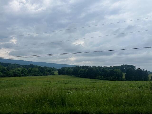 209 John Long Road Spring City, TN 37381 - Photo 35 of 37 IMG_9166