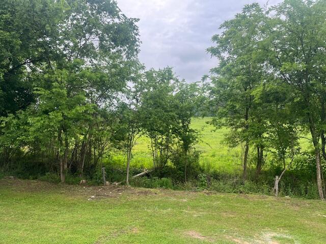 209 John Long Road Spring City, TN 37381 - Photo 5 of 37 IMG_9130