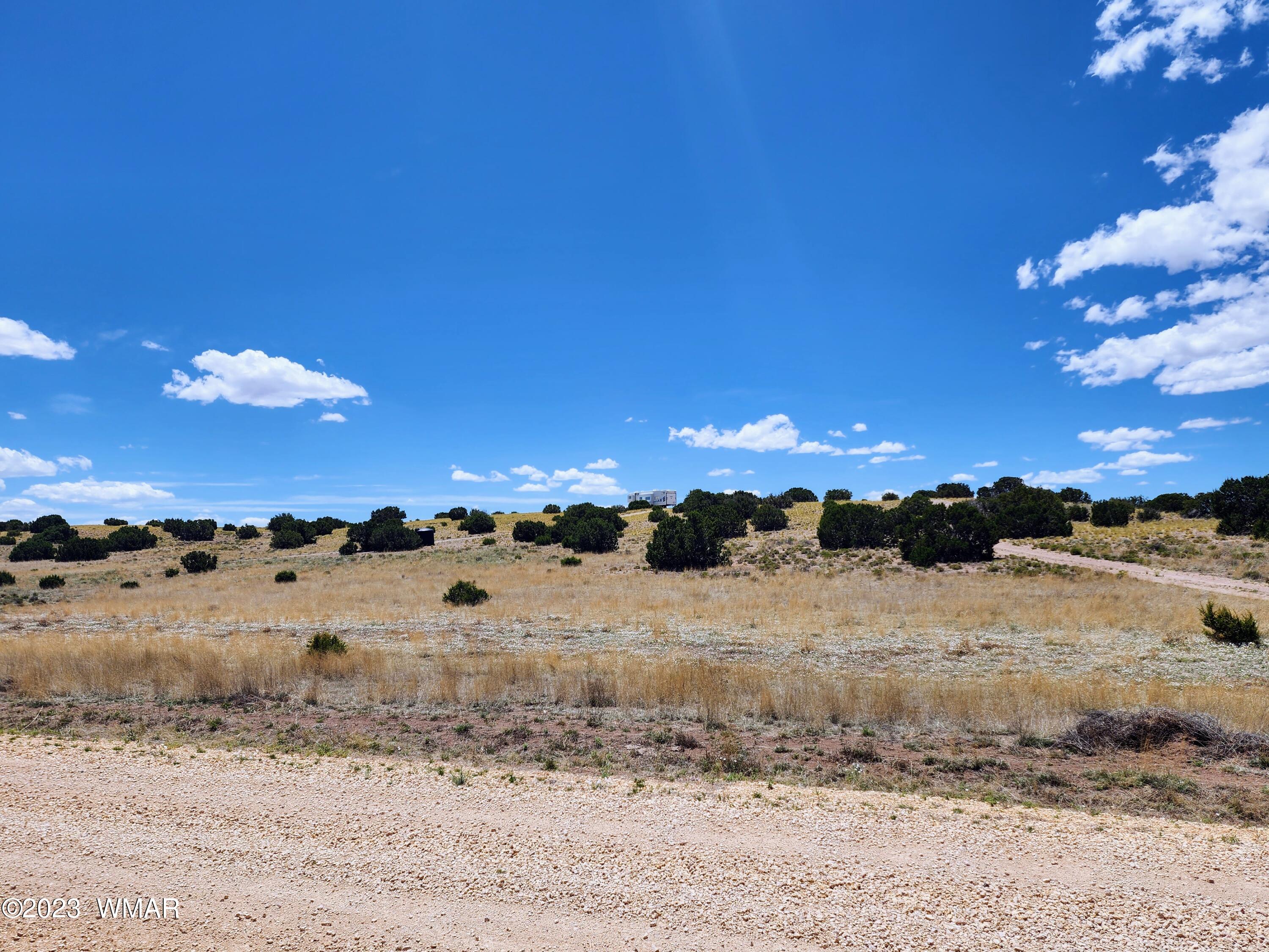 Lot 204 Elk Valley Ranch St. Johns, AZ 85936 - Photo 11 of 13