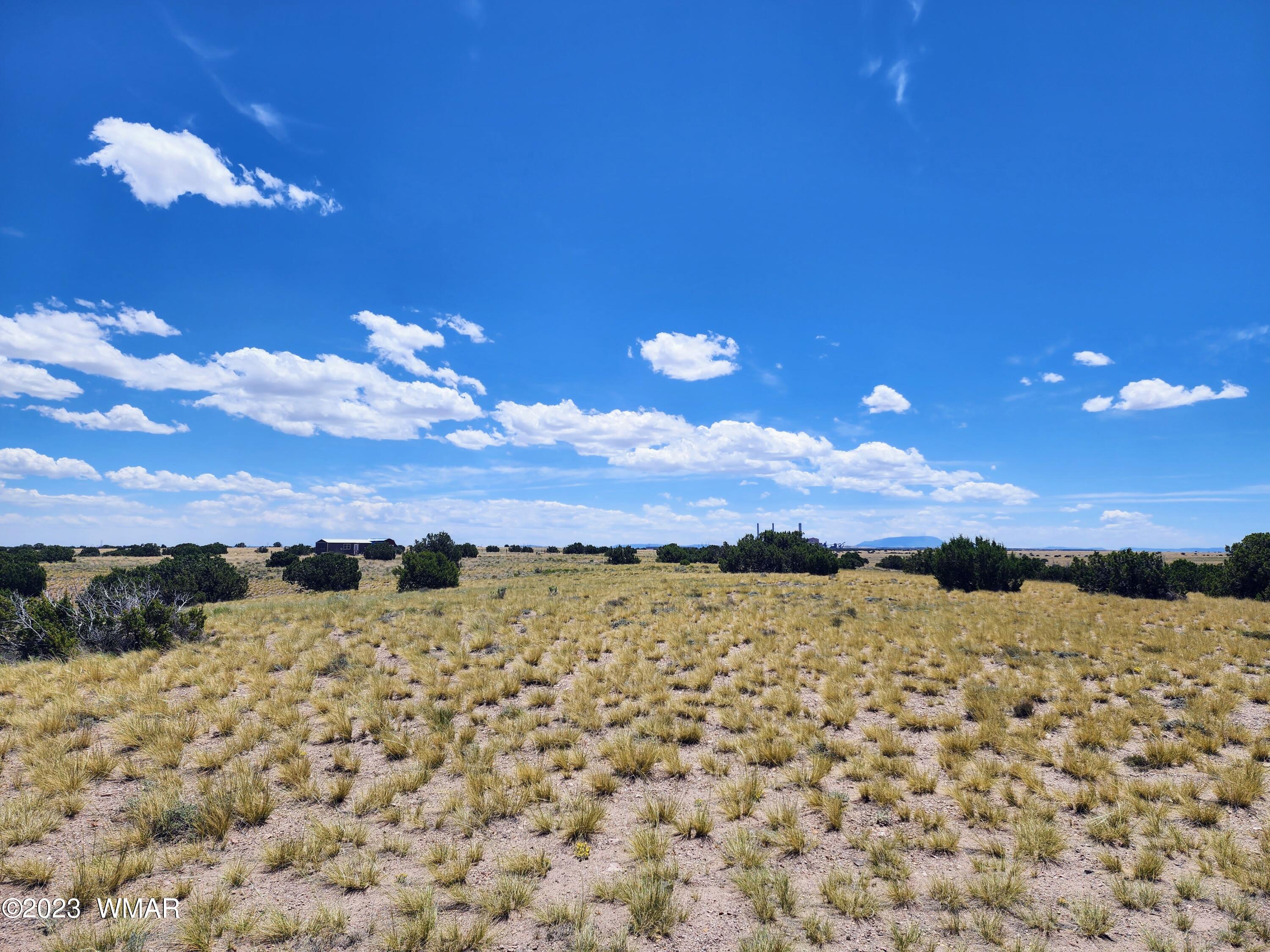 Lot 204 Elk Valley Ranch St. Johns, AZ 85936 - Photo 5 of 13