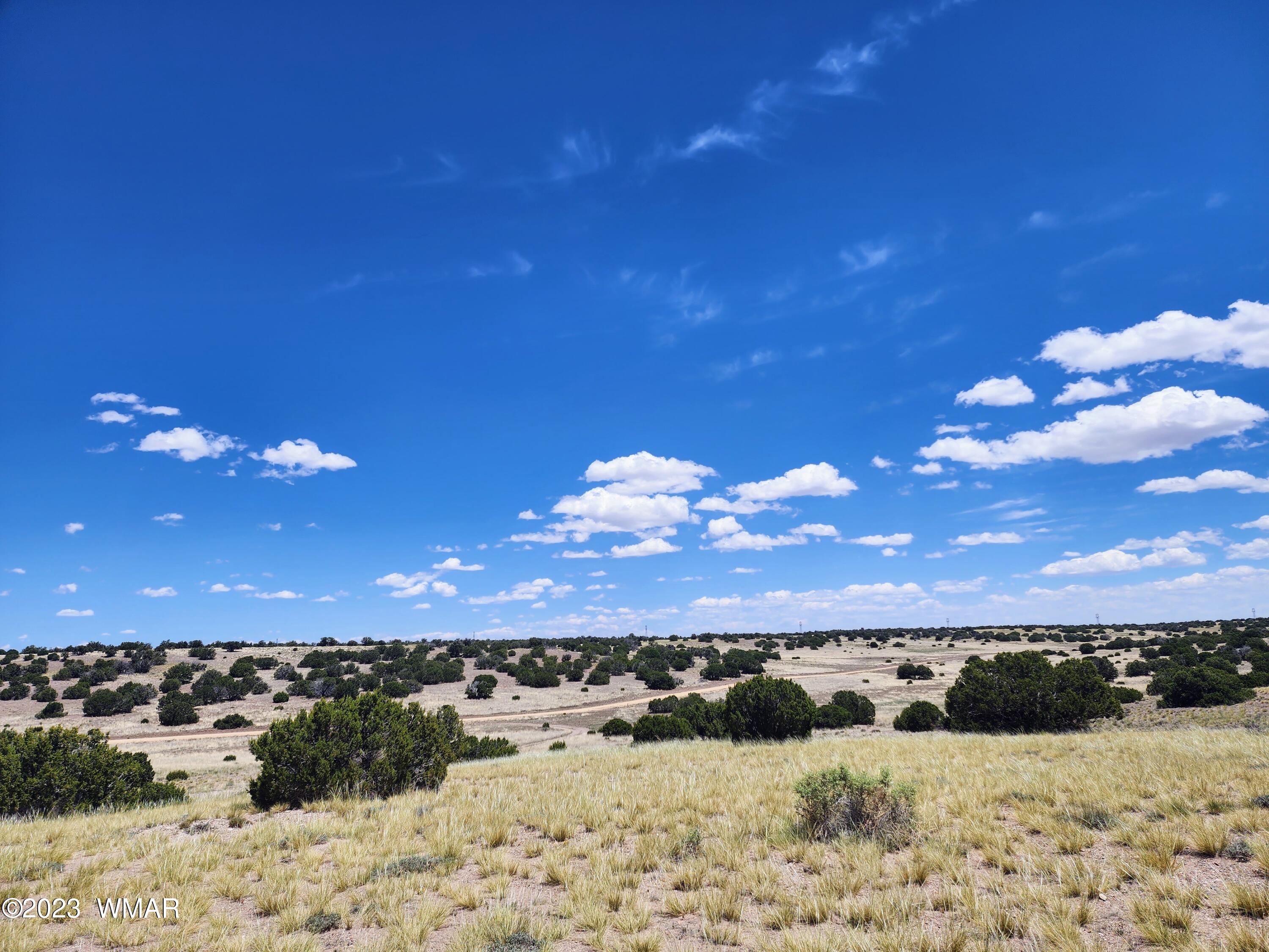 Lot 204 Elk Valley Ranch St. Johns, AZ 85936 - Photo 7 of 13