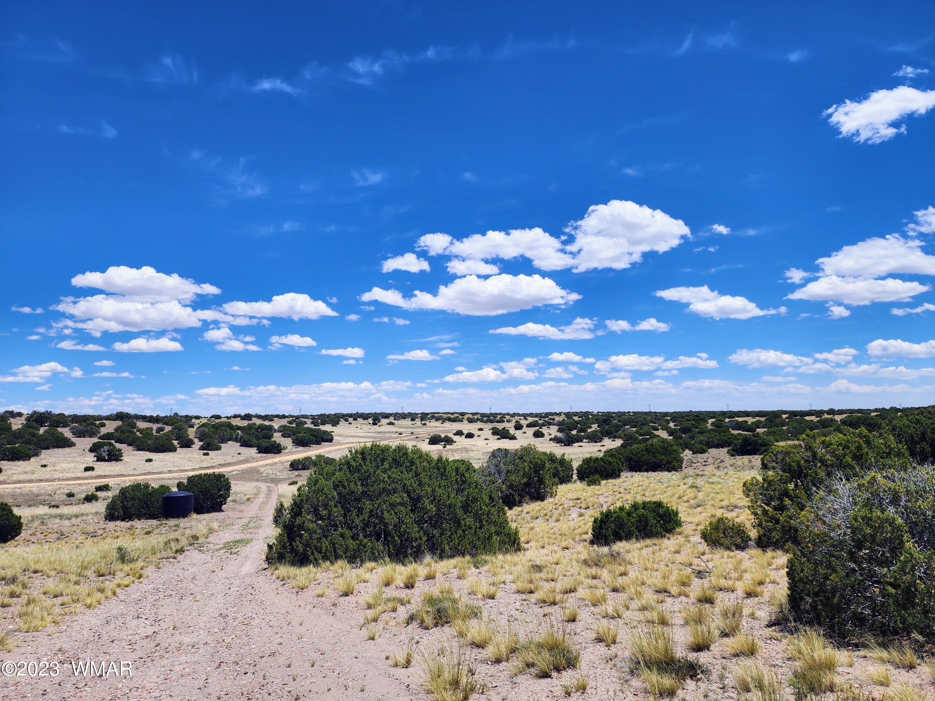 Lot 204 Elk Valley Ranch St. Johns, AZ 85936 - Photo 8 of 13
