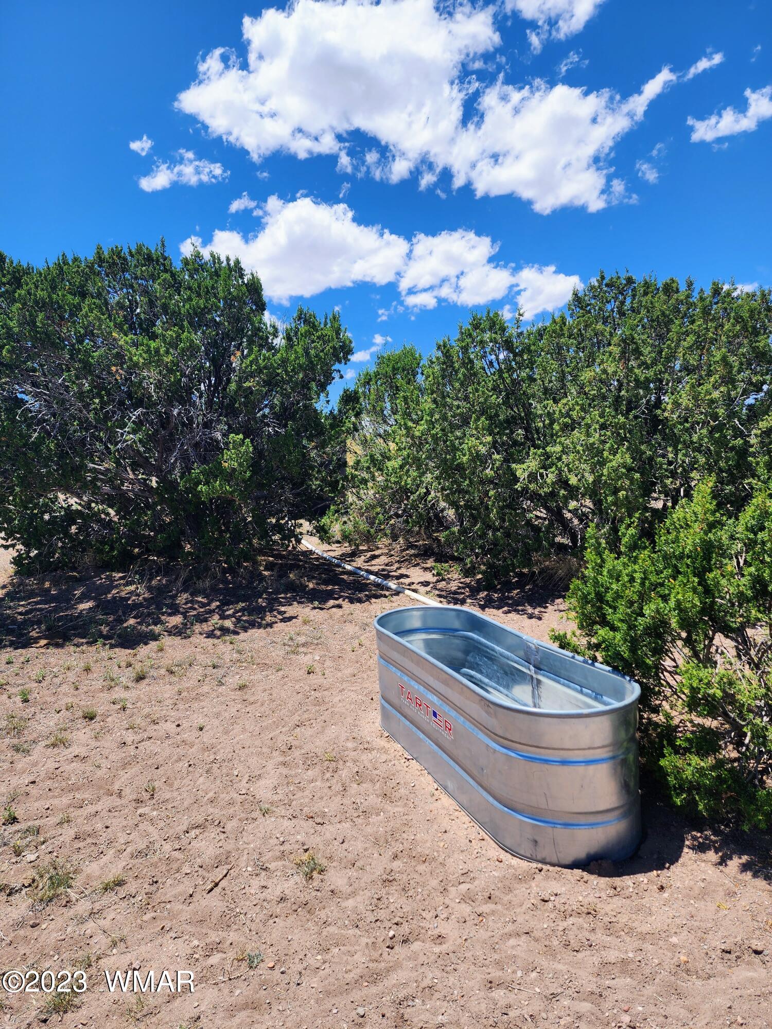 Lot 204 Elk Valley Ranch St. Johns, AZ 85936 - Photo 10 of 13