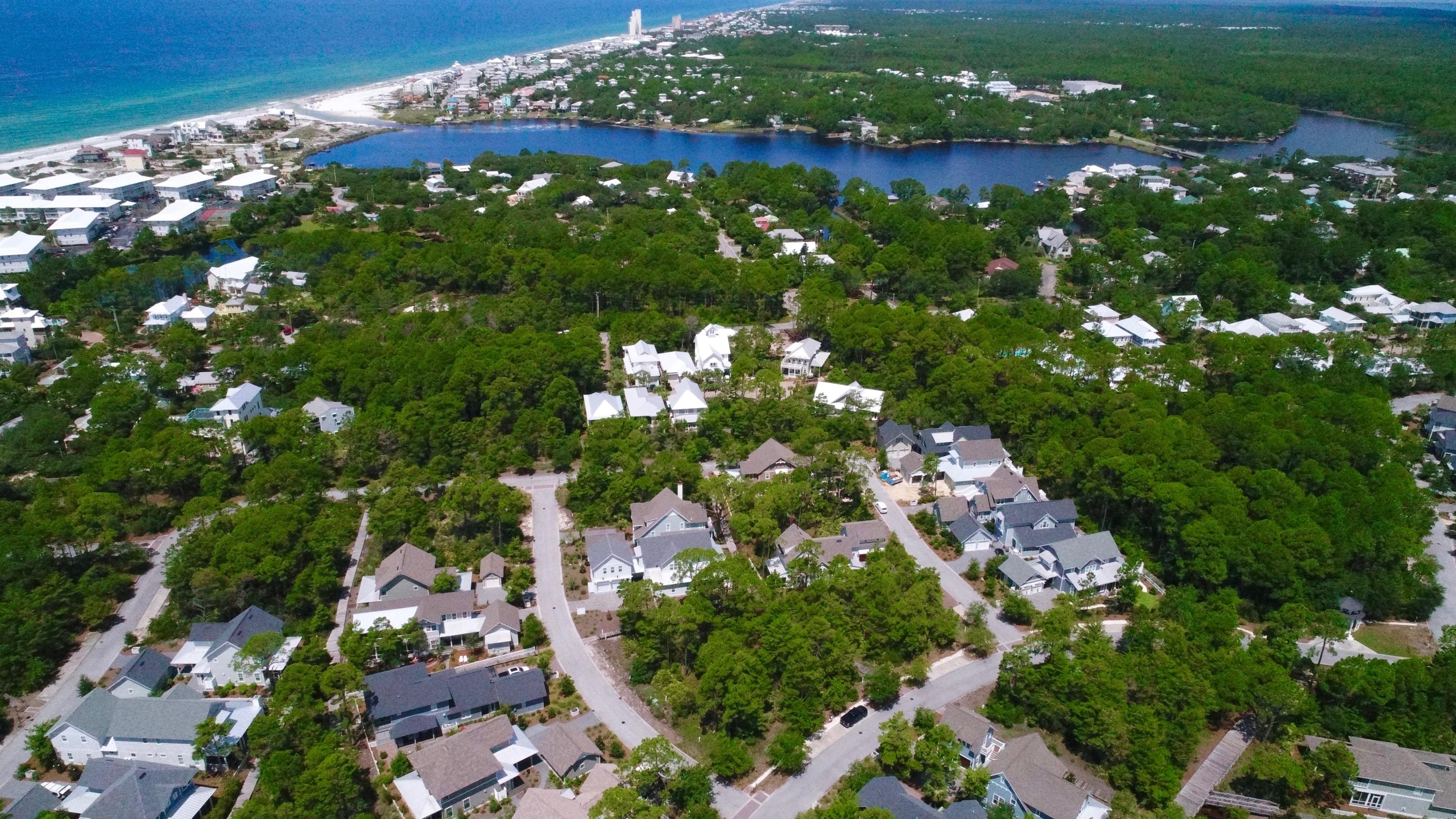 147 Sextant Lane Santa Rosa Beach, FL 32459 - Photo 19 of 43 a view of a lush green forest