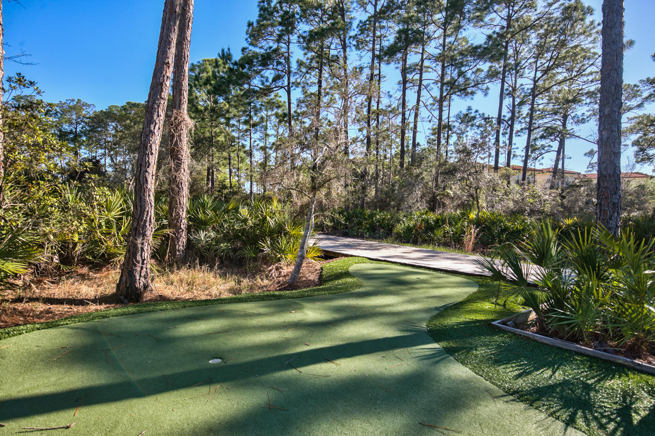 147 Sextant Lane Santa Rosa Beach, FL 32459 - Photo 39 of 43 a view of a backyard with a fountain