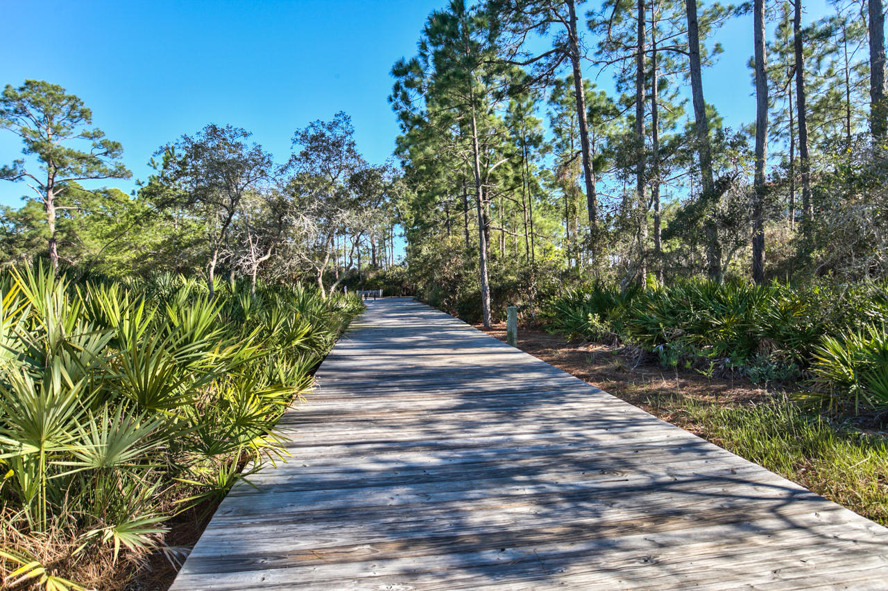 147 Sextant Lane Santa Rosa Beach, FL 32459 - Photo 40 of 43 a backyard of a house with lots of green space