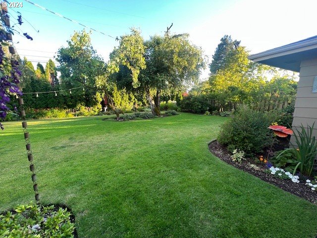 187 Greenvale Drive Springfield, OR 97477 - Photo 28 of 36 a view of a garden