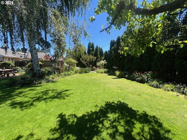 187 Greenvale Drive Springfield, OR 97477 - Photo 32 of 36 a view of an outdoor space and a yard