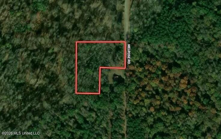 Melrose Road Como, MS 38619 - Photo 1 of 2 Panola 3 close up