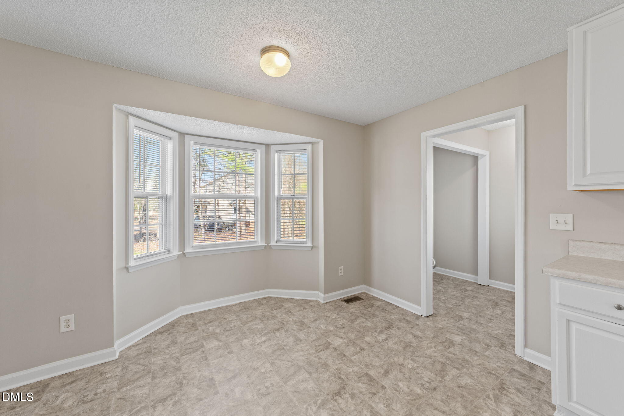 1636 Middle Ridge Drive Willow Spring, NC 27592 - Photo 8 of 55 44-web-or-mls-VB4A1231