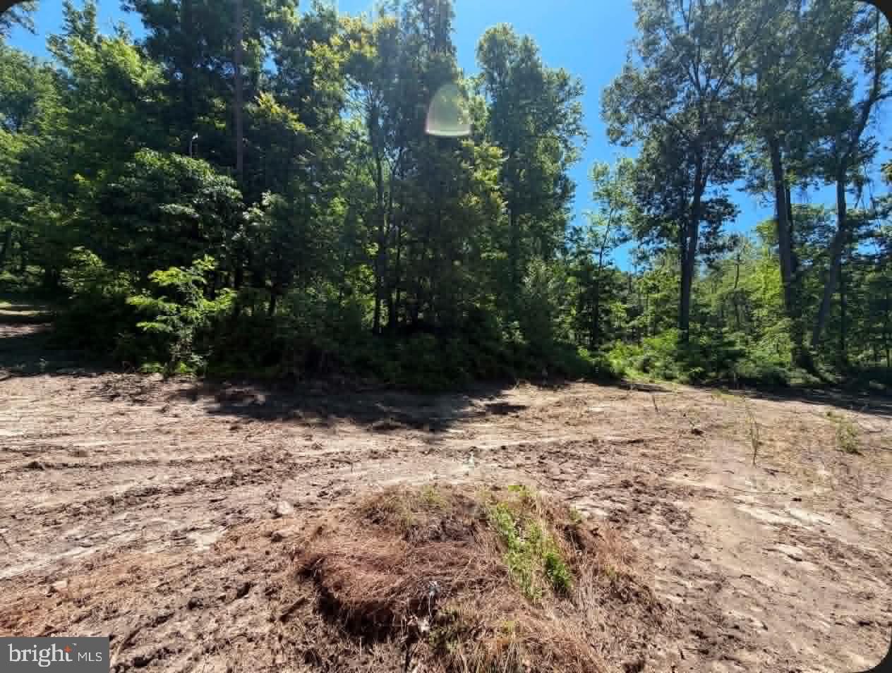 51 Cabin Road Augusta, WV 26704 - Photo 7 of 19