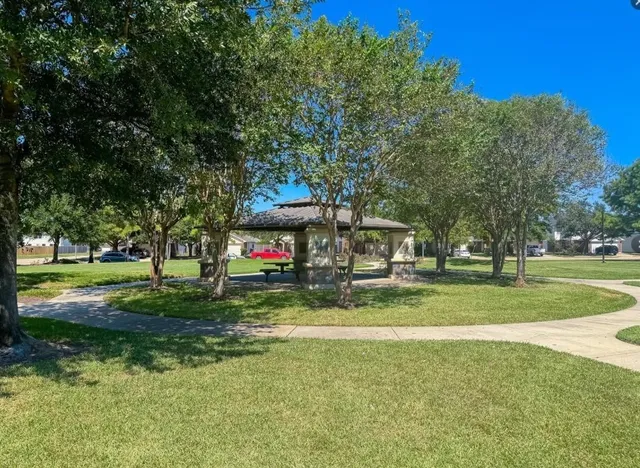 a view of a park with large trees