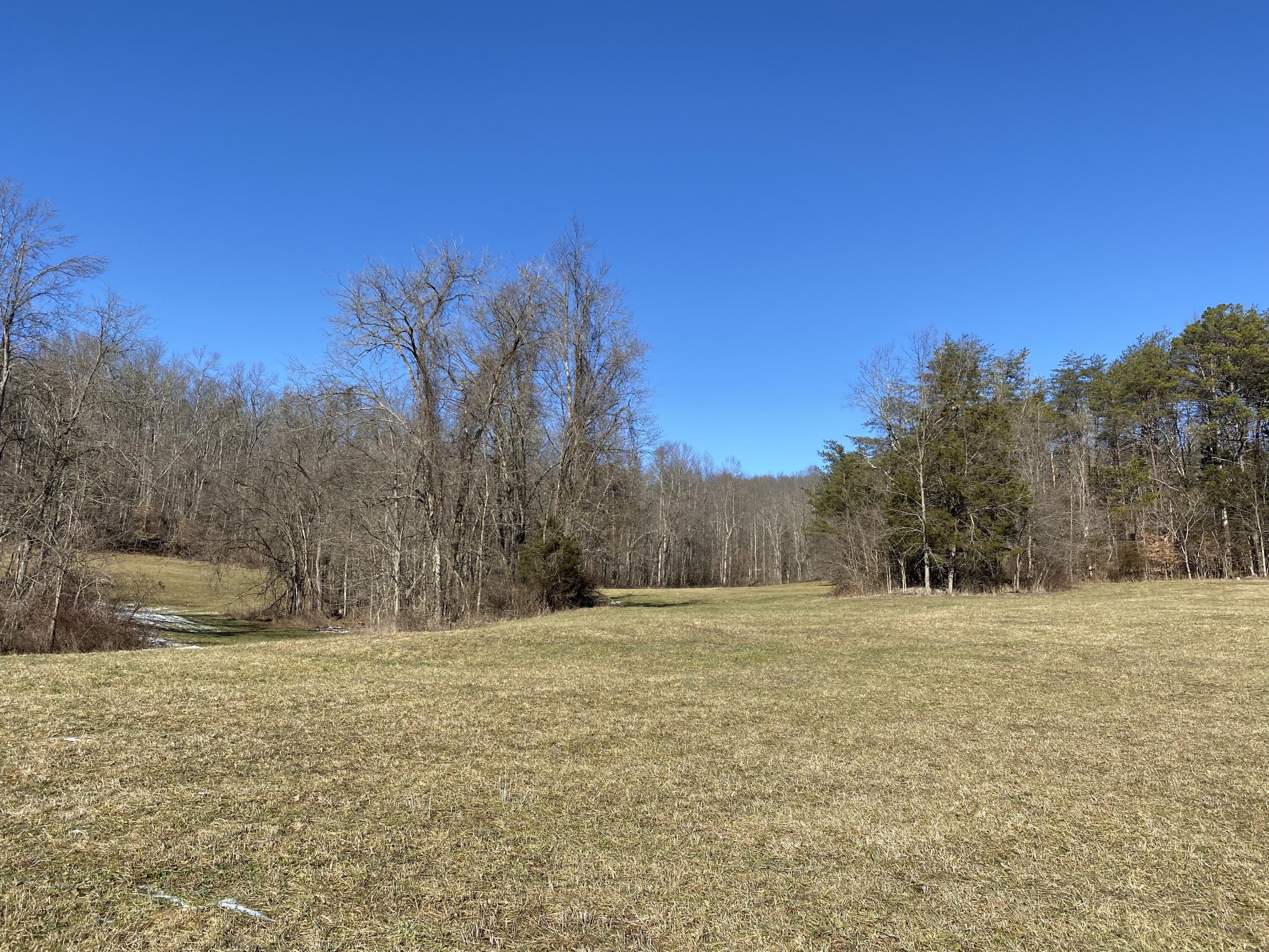 999 Robinson Road McKee, KY 40447 - Photo 1 of 8 IMG_9922