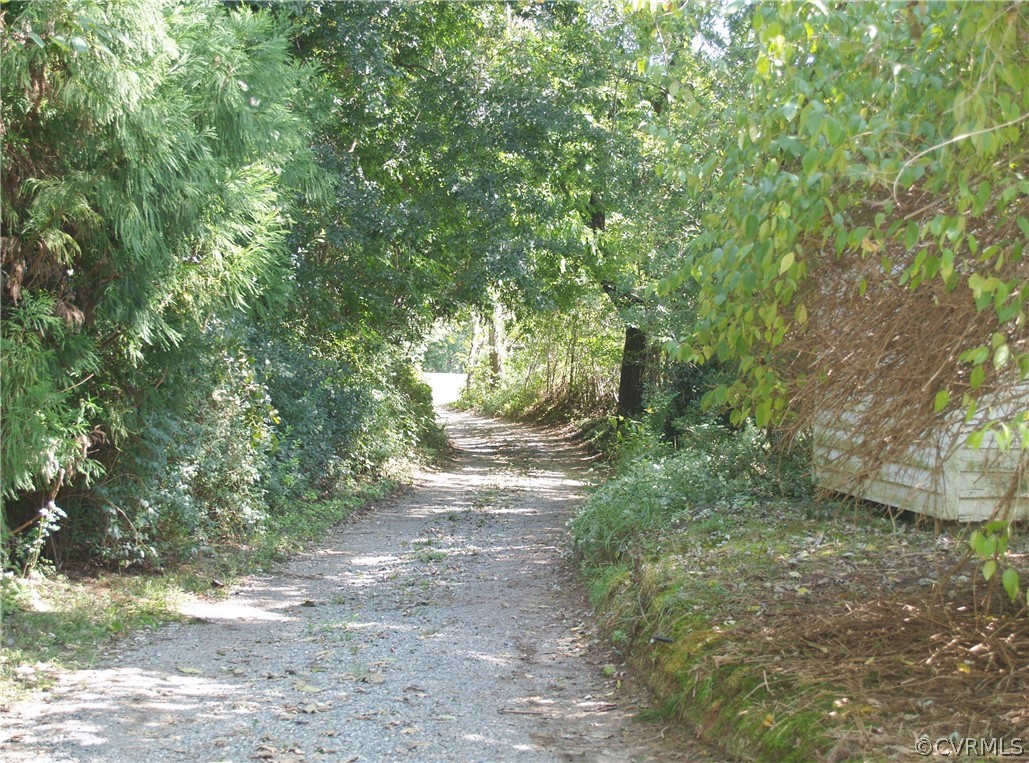11221 Carriage Road Providence Forge, VA 23140 - Photo 37 of 44 Tree Covered Approach from Carriage Road