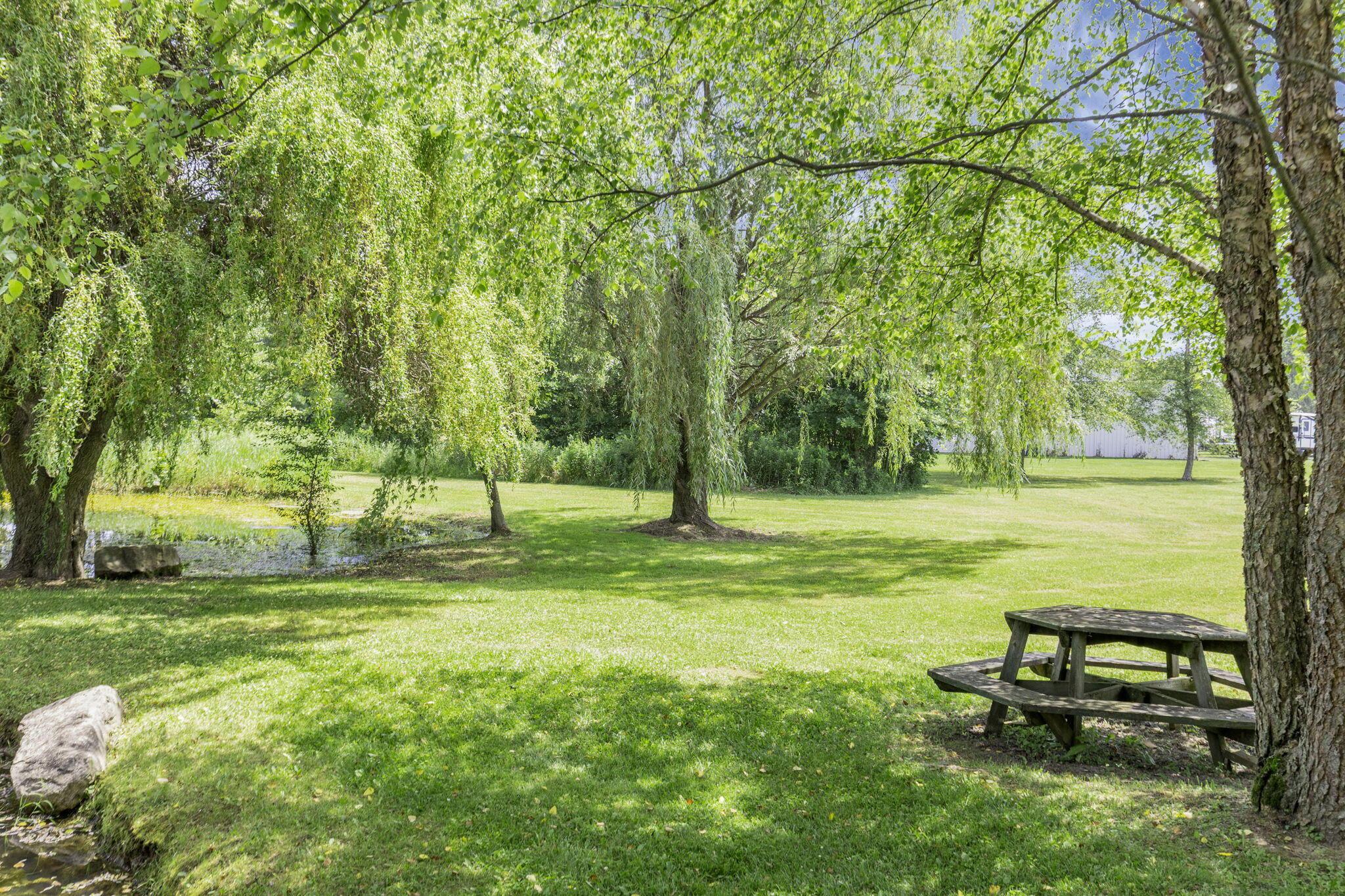 6646 Duffy Road Delaware, OH 43015 - Photo 41 of 61 Pond View