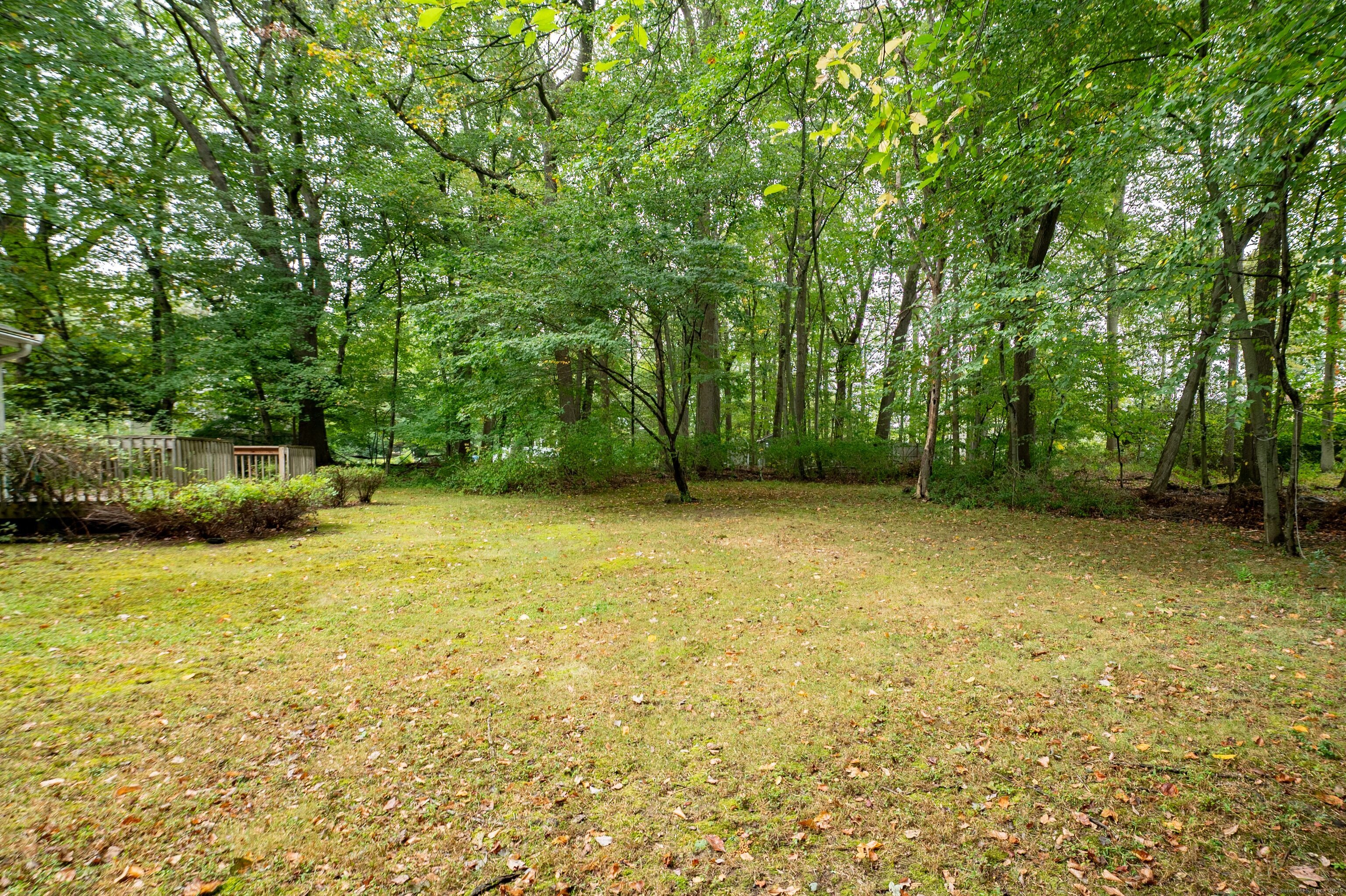 588 Summit Drive Orange, CT 06477 - Photo 19 of 40 a view of a large garden with plants and large trees