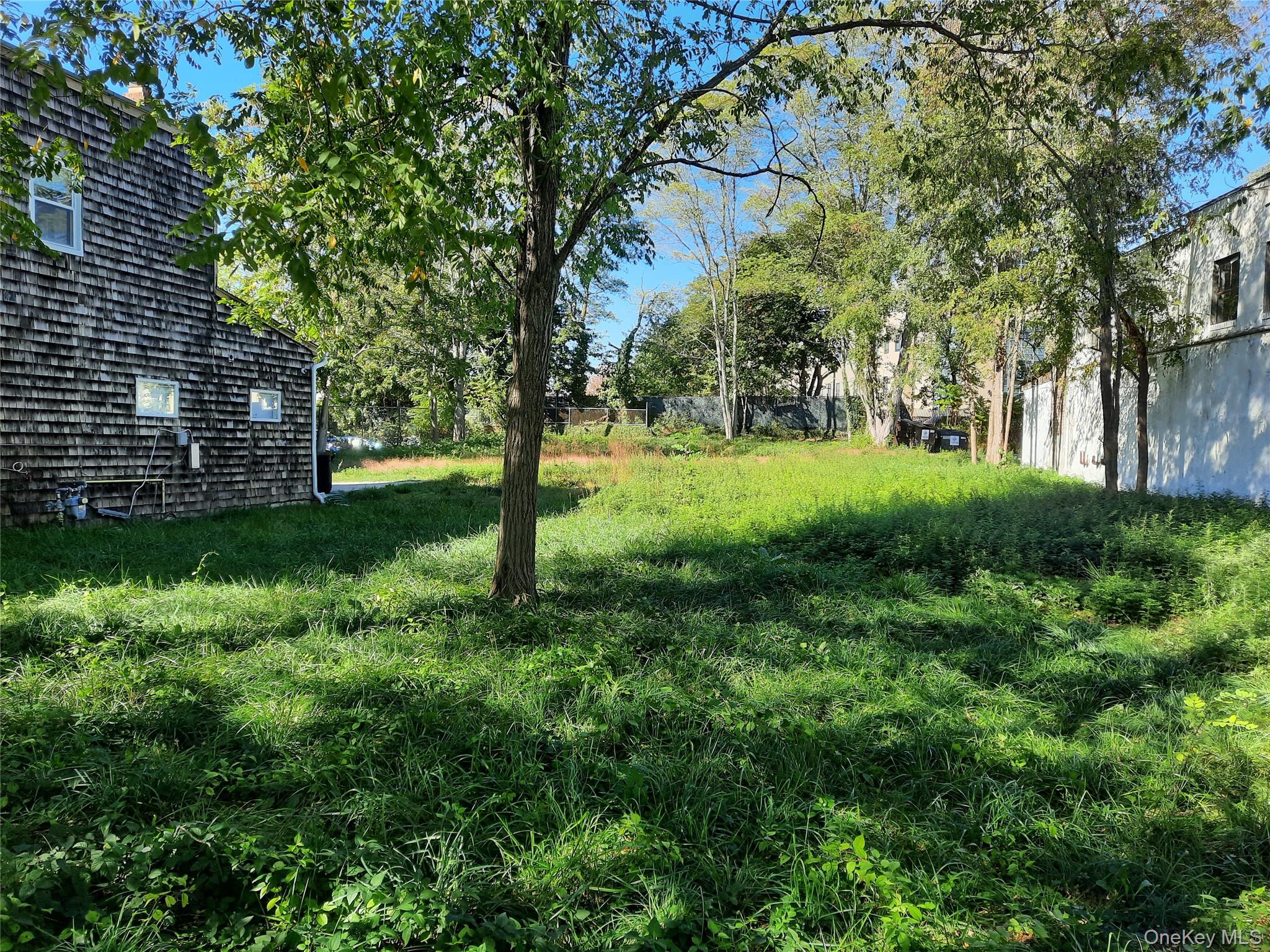 a view of a yard with plants and trees