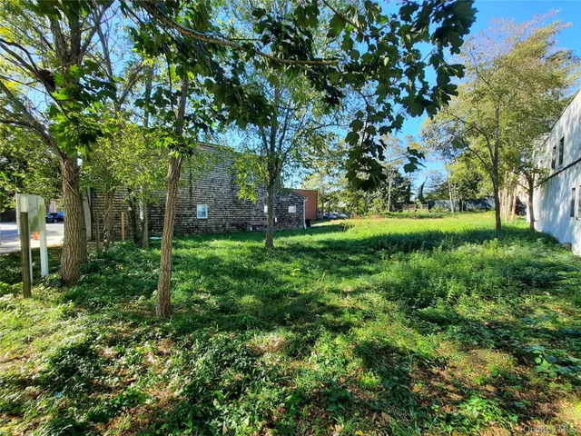 a view of a backyard with large trees