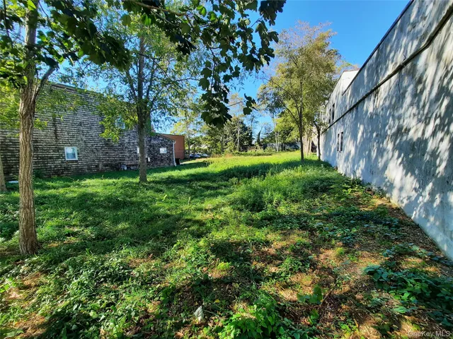 a view of a backyard with large trees